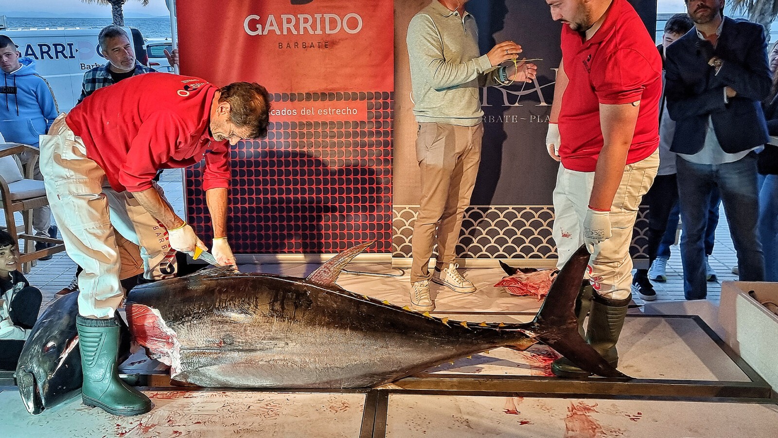 Un momento del ronqueo en Jarana. Foto: Salva Moreno
