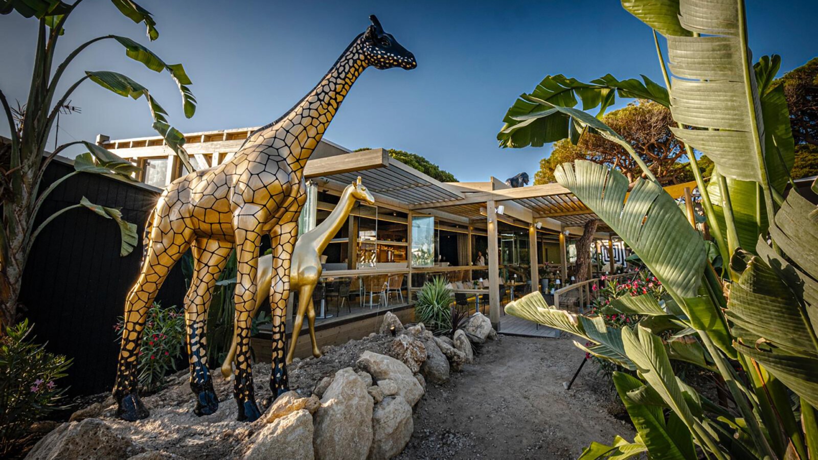 Uno de los animales que decoran el jardín de Safari. Foto: J.G.