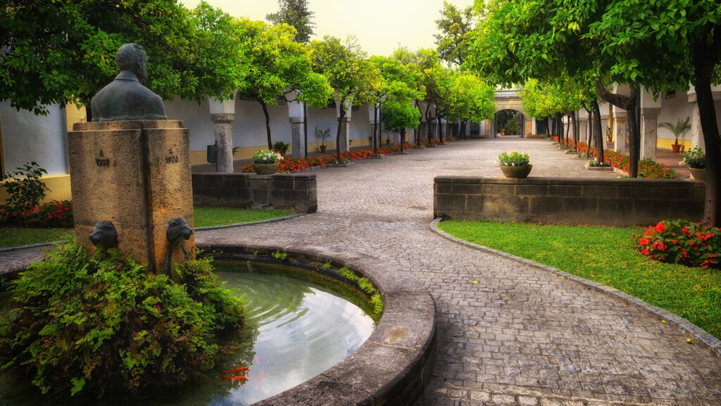 Uno de los patios de Fundador. Foto: Cedida