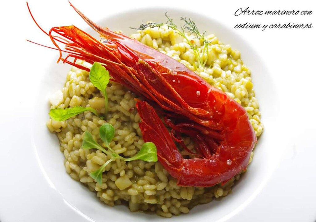 ximocarrionarroz2