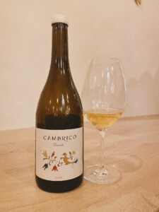 Uno de los vinos de Cámbrico. Foto: Vinoteca Collado