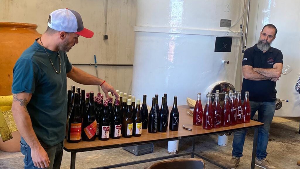 Imagen de la Vinoquedada de 2024, en Bodegas Vinifícate. Foto: The Wine Room