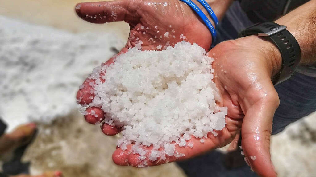 Día de la Provincia de Cádiz: los tesoros gastronómicos de esta tierra 11 Sal de las Salinas de Chiclana. Foto: Salva Moreno