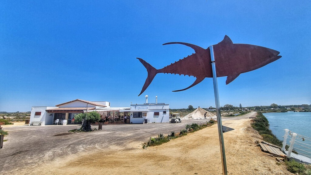 El Estero, en la Salina Santa Teresa de Chiclana. Foto: Salva Moreno