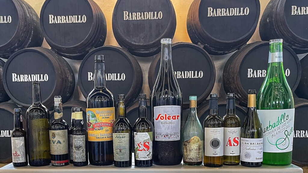 50 años de un vino pionero bien merecen una celebración a la altura 6 Los vinos que se cataron. Foto: Salva Moreno