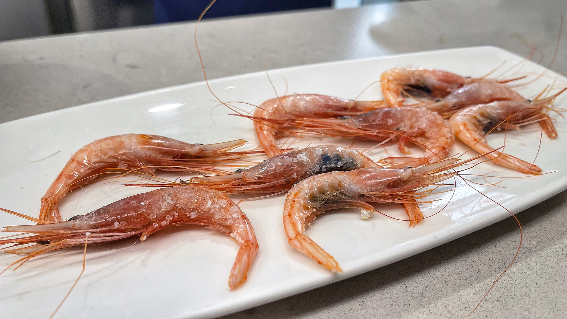 Quisquillas de Motril en el Bar FM de Granada. Foto: Salva Moreno