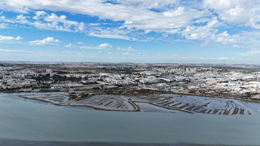 Vista aérea de la marisma. Foto: Cedida
