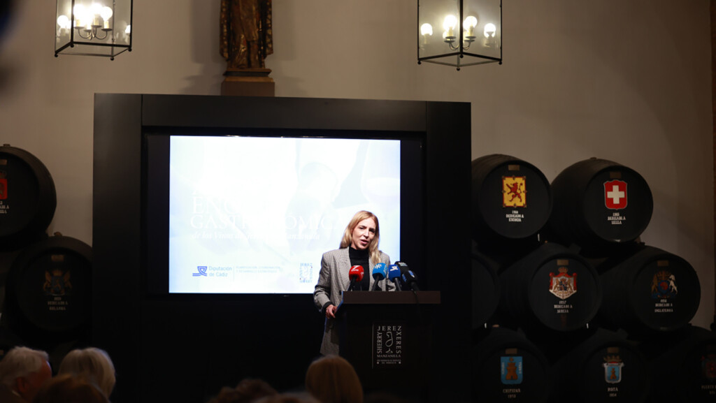 La presidenta de Diputación, Almudena Martínez, durante su intervención. Foto: Diputación