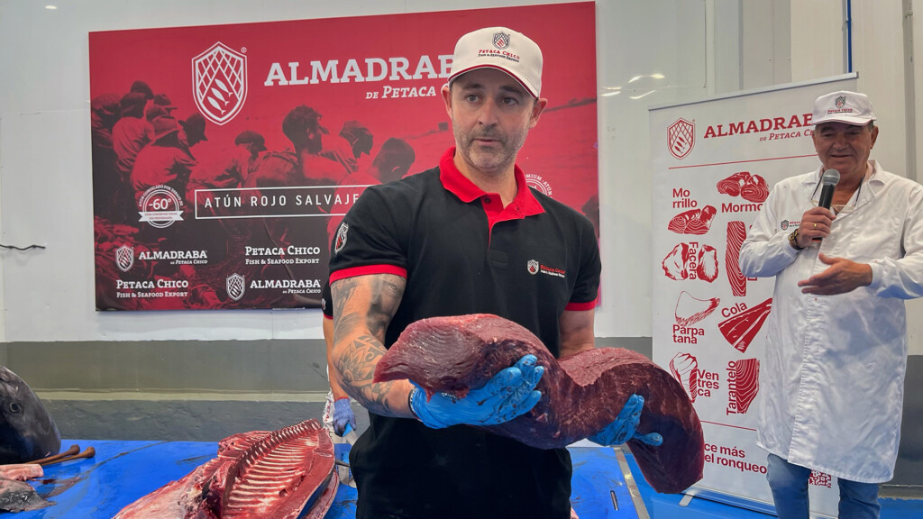 Uno de los ronqueadores de Petaca Chico, con una pieza de atún. Foto: Salva Moreno