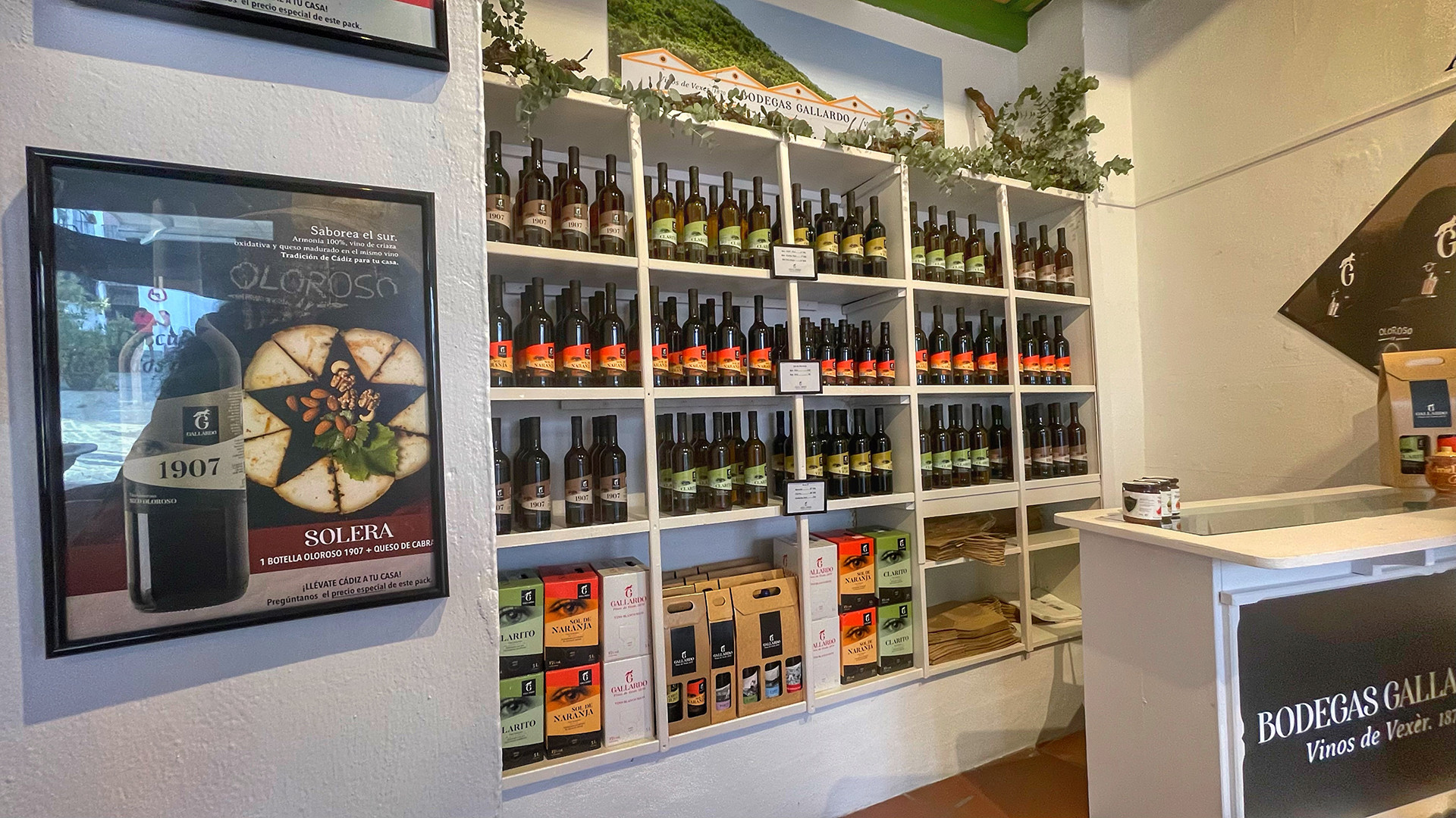 Interior de la tienda de Bodegas Gallardo. Foto: Salva Moreno
